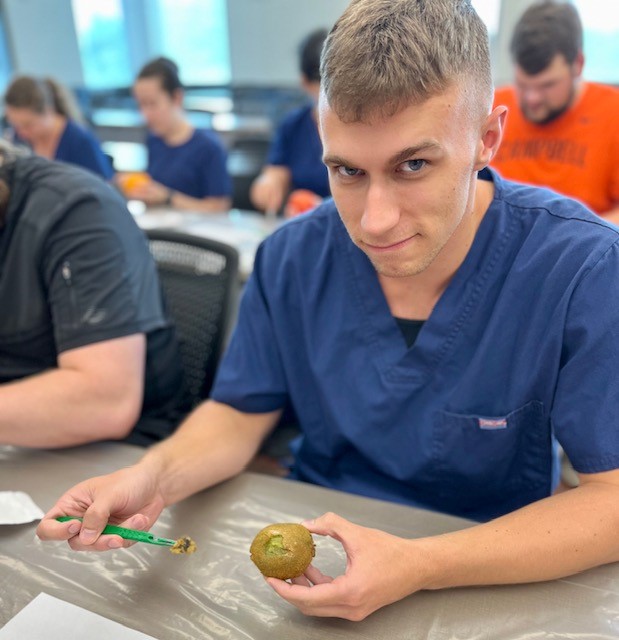CampbellCPHS's tweet photo. ORANGE you glad Dr. Sawyer and Dr. Yarboro are so PLUM creative with their Burns & Wounds labs? #CampbellDPT 1st years used scalpels and precision to peel a variety of fruits whose skin mimics a wound.
#fruitpatients #harderthanitlooks #physicaltherapy #learncreatively https://t.co/m6ZYojEdUI