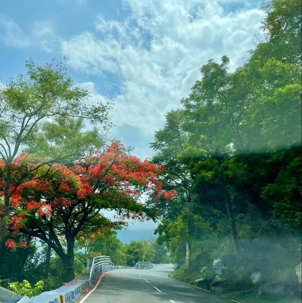 Ashish Priyadarshi tweet media