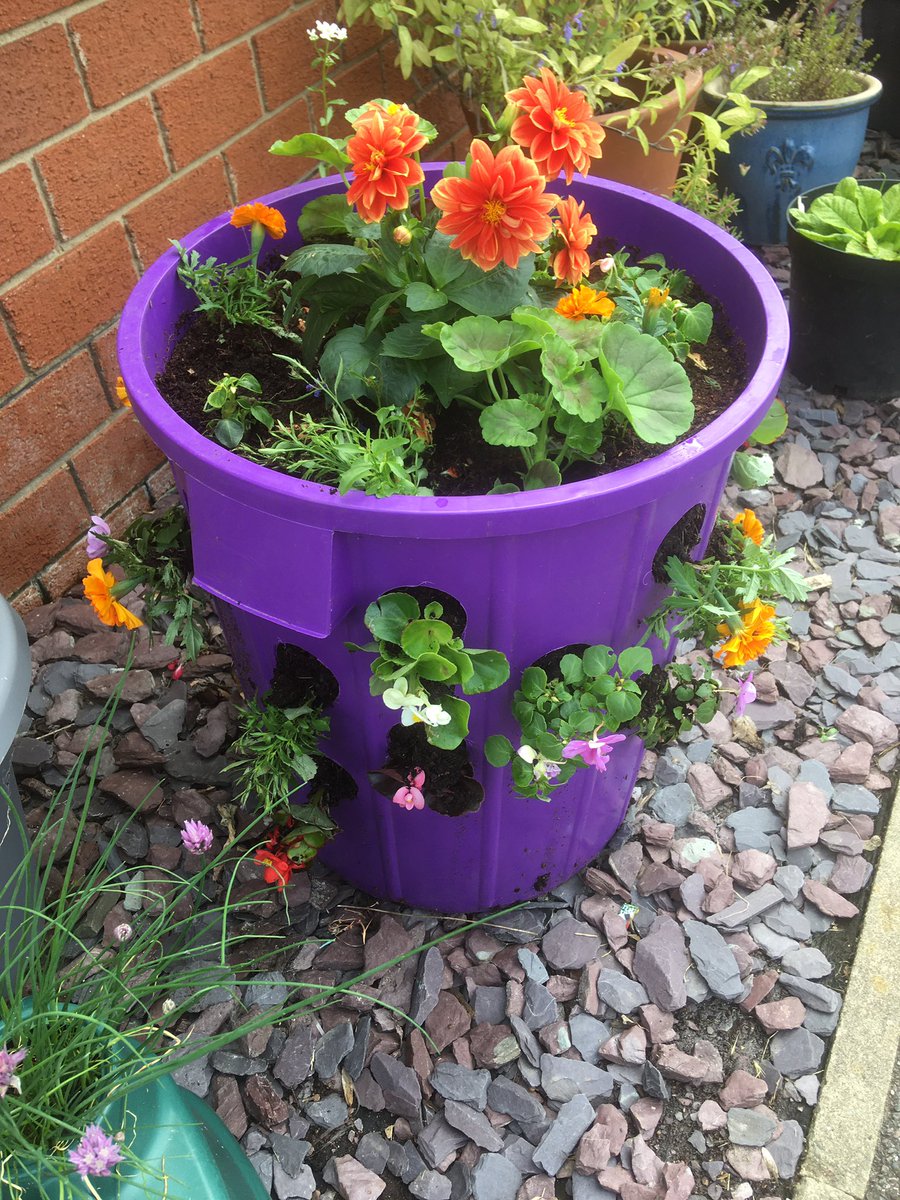 PaulaWarrener's tweet photo. Supporting Yr 2’s science this week.
Today Barn Owls created an amazing Pollinator’s dustbin. This can be seen in our front garden. @FourfieldsSc @RHSSchools @SustainablePECT @ZephaniahLindo https://t.co/gkeGr9MfVc