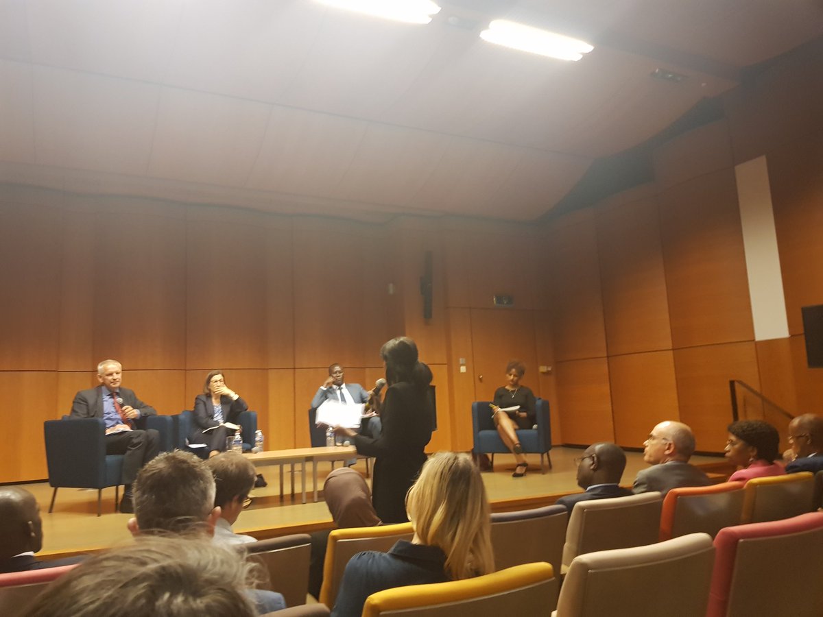 maxime_sierro's tweet photo. Often overooked: the role and efforts of #African countries and organisations in resolving global crises.
@IlwadElman , on point 🎯 @ElmanPeaceHRC 
@eu_eeas #TheEUAfricaMeetings2022 https://t.co/2cCw5OchwW