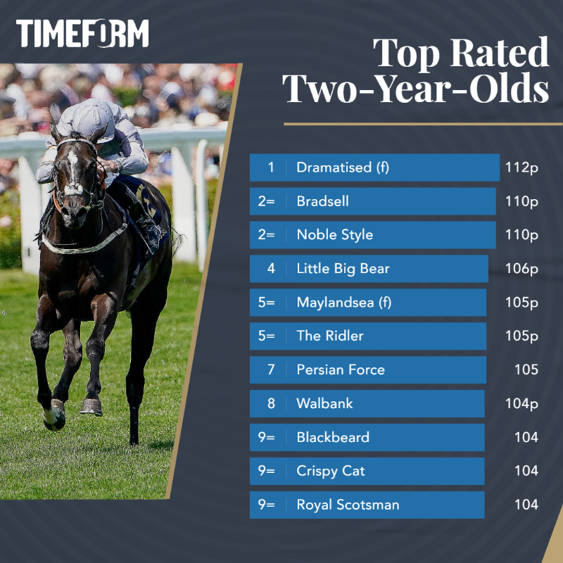 Timeform's tweet photo. "Maljoom appeared so unlucky that he was rated as clearly the best horse on the day by Timeform"

📊 @hought94 highlights five key performances from Royal Ascot based on the Timeform ratings...