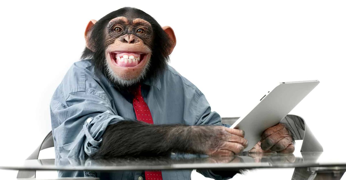 Curly Lizard Films tweet media