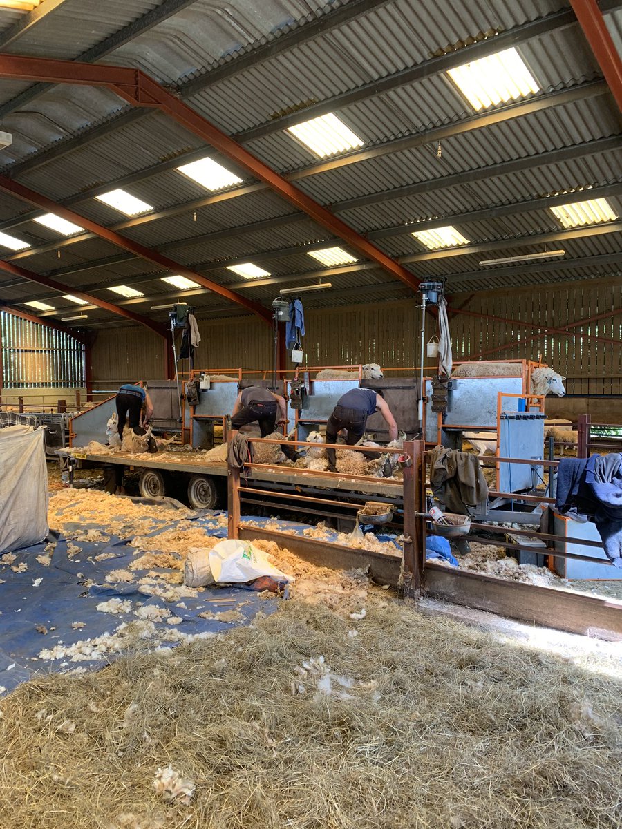 WillSawday's tweet photo. Main shear begins. . https://t.co/ut8KmwoO3U