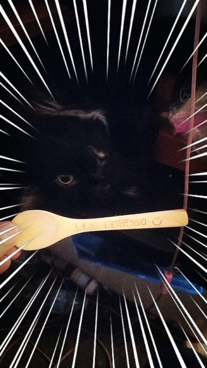 AfternoonFog's tweet photo. @binxaroni wants you to be happy ¯\_(ツ)_/¯ #CatsOfTwitter #cute https://t.co/ZOd78JstL7