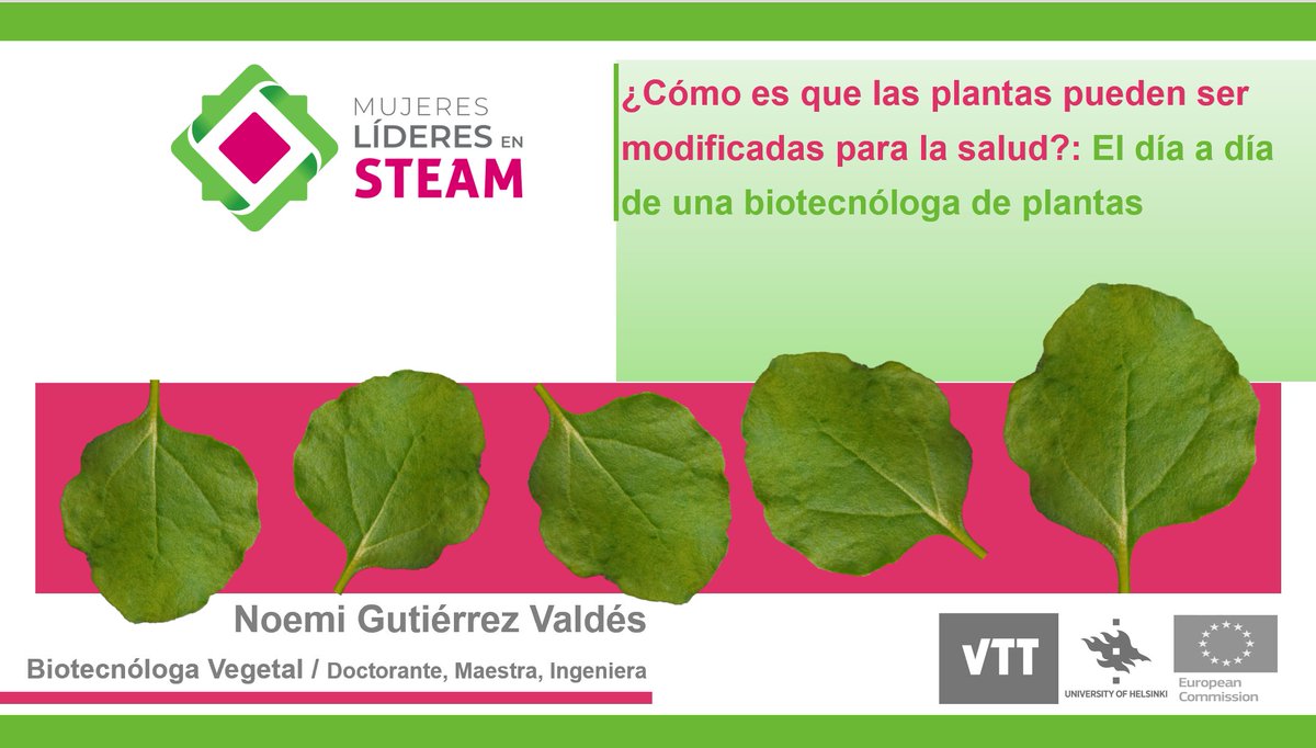 259 young women with an interest in STEM careers (from 26 cities &amp; 5 different countries) were sharing their time with me to listen about Plant Biotechnology. Thrilled to be a mentor for the last 2 years and now a speaker. <a href="/usmxleadersnet/">U.S.-Mexico Leaders Network</a> 💗💚#scicomm #womeninstem