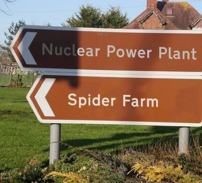 What could possibly go wrong?