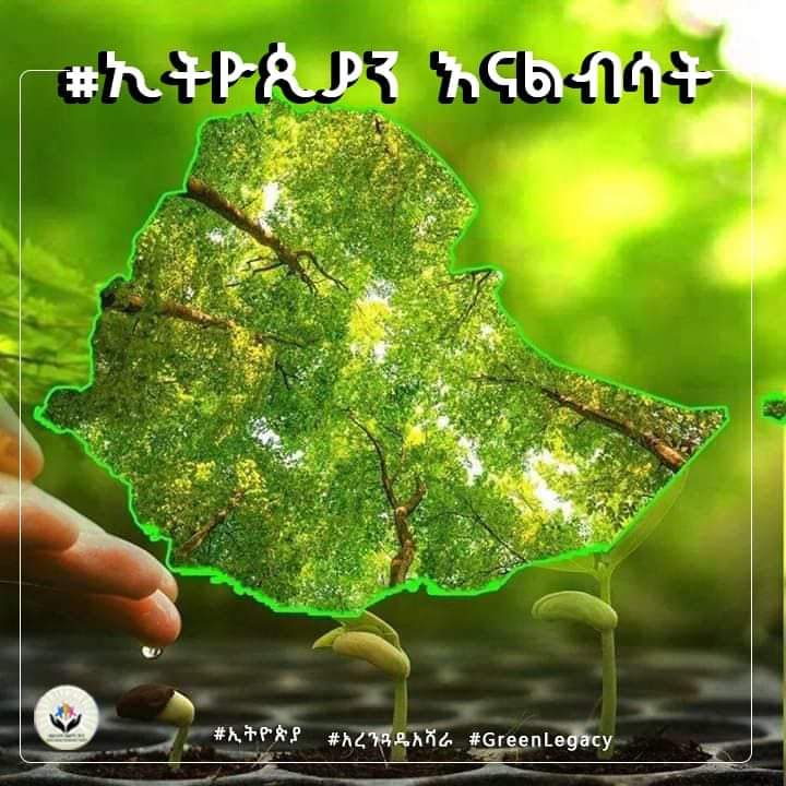 dinka_merga's tweet photo. እንኳን አደረሰን!!

ፅዱና ምቹ የአየር ንብረት ለኢትዮጵያችን!!

የ2014 የአረንጓዴ አሻራ መርሃግብር ነገ ይጀመራል!! 

#ኢትዮጵያን እናልብሳት
#አረንጓዴ አሻራ https://t.co/aVmhs9Fo6L