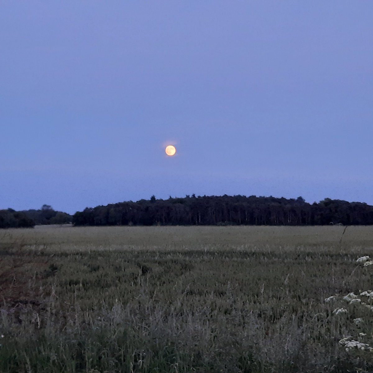 laybakpak's tweet photo. A perfect full moon over the Suffolk countryside.  Just the job for a night on your laybakpak bed, under a light tarp.
#wildcamp #sleepunderthestars https://t.co/C1UUkbft5L