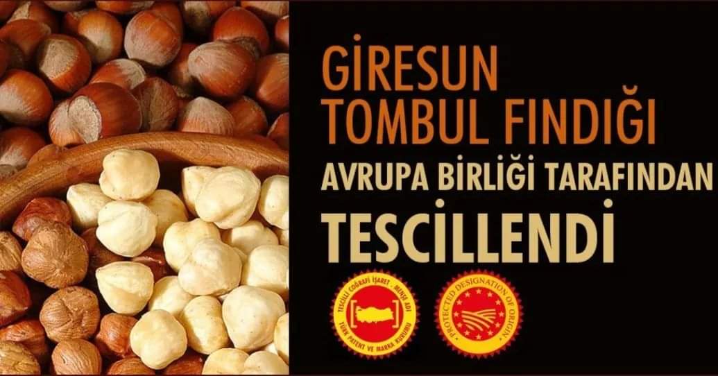 Fındık Araştırma Enstitüsü Müdürlüğü nde görevli Dr. Fikret Tüfekçi ile beraber hazırladığımız belge AB tarafından coğrafi işaret belgesi verdi. Bir gururum daha oldu.