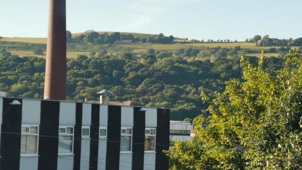 Groove Pad Otley tweet media