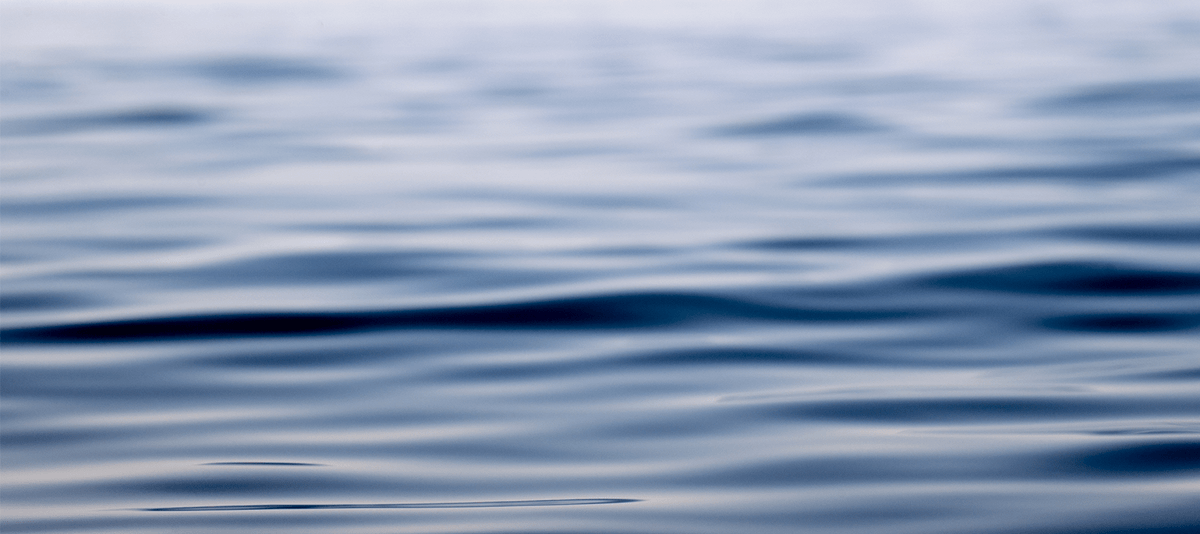 BEAF Arts Co tweet media