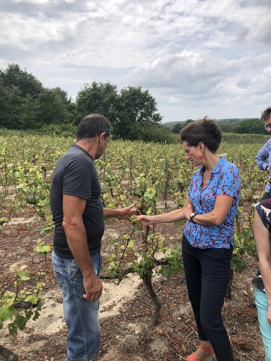 VouvrayGautier's tweet photo. Journée terrain en compagnie de Mme La préfère d’Indre et Loire pour constater et évaluer les dégâts des orages de grêlons de la semaine passée #fnsea37 #prefecture37 #departementindretloire #dep37 #FAV37 #vindeloire #cvvl https://t.co/9HmEDpAsRh