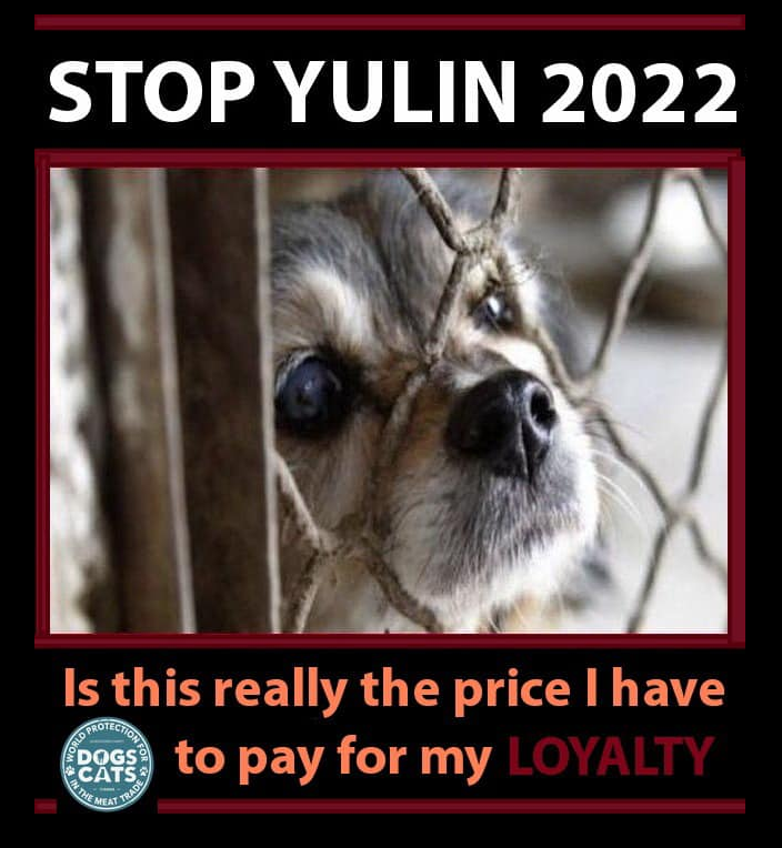 notodogmeat tweet picture
