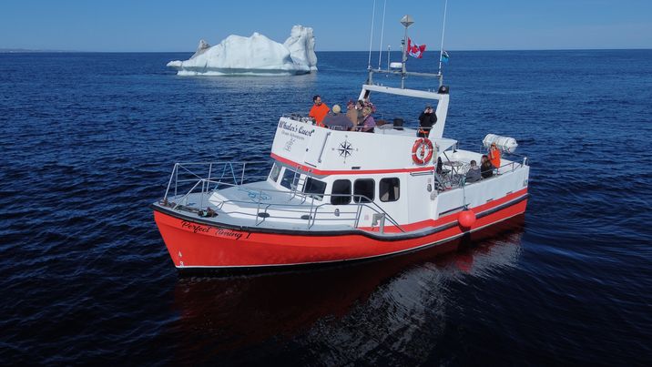 #whalersquest #eastcoast #labrador #redbay #UNESCO #parkscanada #icebergalley #boattour #iceberg #explorenl #eastcoastlifestyle #ComeHome2022 #staycation #HNL #perfecttiming  #TourismNL #IcebergsNL #DiscoverNL #DiscoverCanada #HospitalityNL #Newfoundland #beautifuldestinations