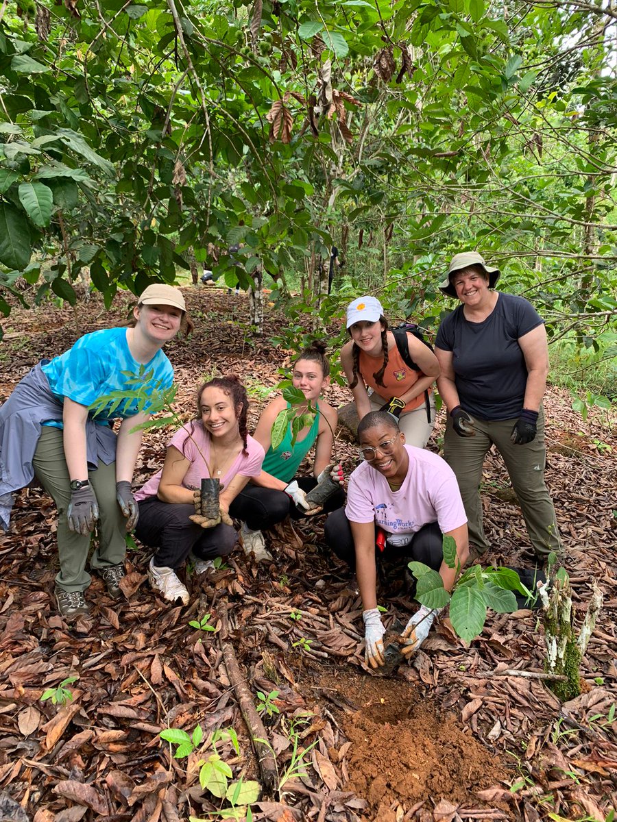 Camp_CostaRica's tweet photo. The #teamCRU had an amazing morning in their service-learning project at #CampTerraba planting trees. Good job team! ๐ณ๐ฑ๐ช๐ป
#CampEffect #DoSomethingAmazing
#PartneringWorldStrides @CampsInt https://t.co/osdN5nAhm2