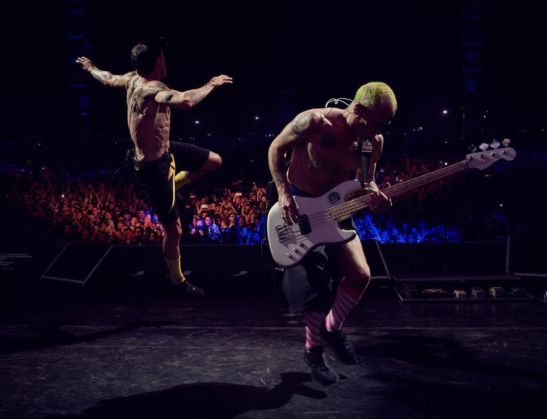 ChiliPeppers's tweet photo. Danza dei cigni https://t.co/P2VFGK0aW6