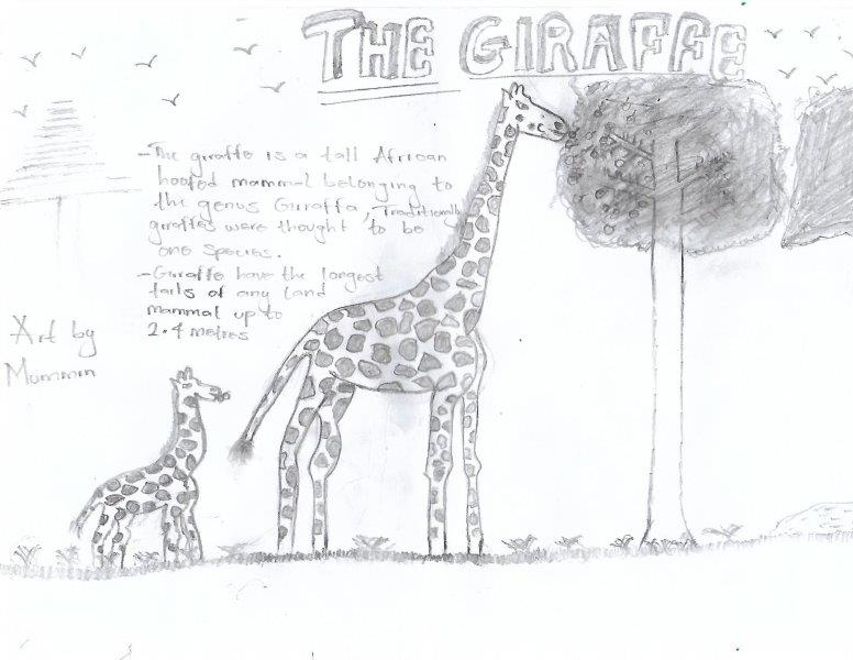 WHWF1's tweet photo. To celebrate World Giraffe Day we are grateful to our students for taking part in sketching the
Giraffe as one way to spread awareness about conservation status of these animals. 
#WorldGiraffeDay #whwf #conservationthrougheducation https://t.co/fVVMClEc47