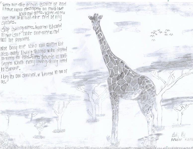 WHWF1's tweet photo. To celebrate World Giraffe Day we are grateful to our students for taking part in sketching the
Giraffe as one way to spread awareness about conservation status of these animals. 
#WorldGiraffeDay #whwf #conservationthrougheducation https://t.co/fVVMClEc47