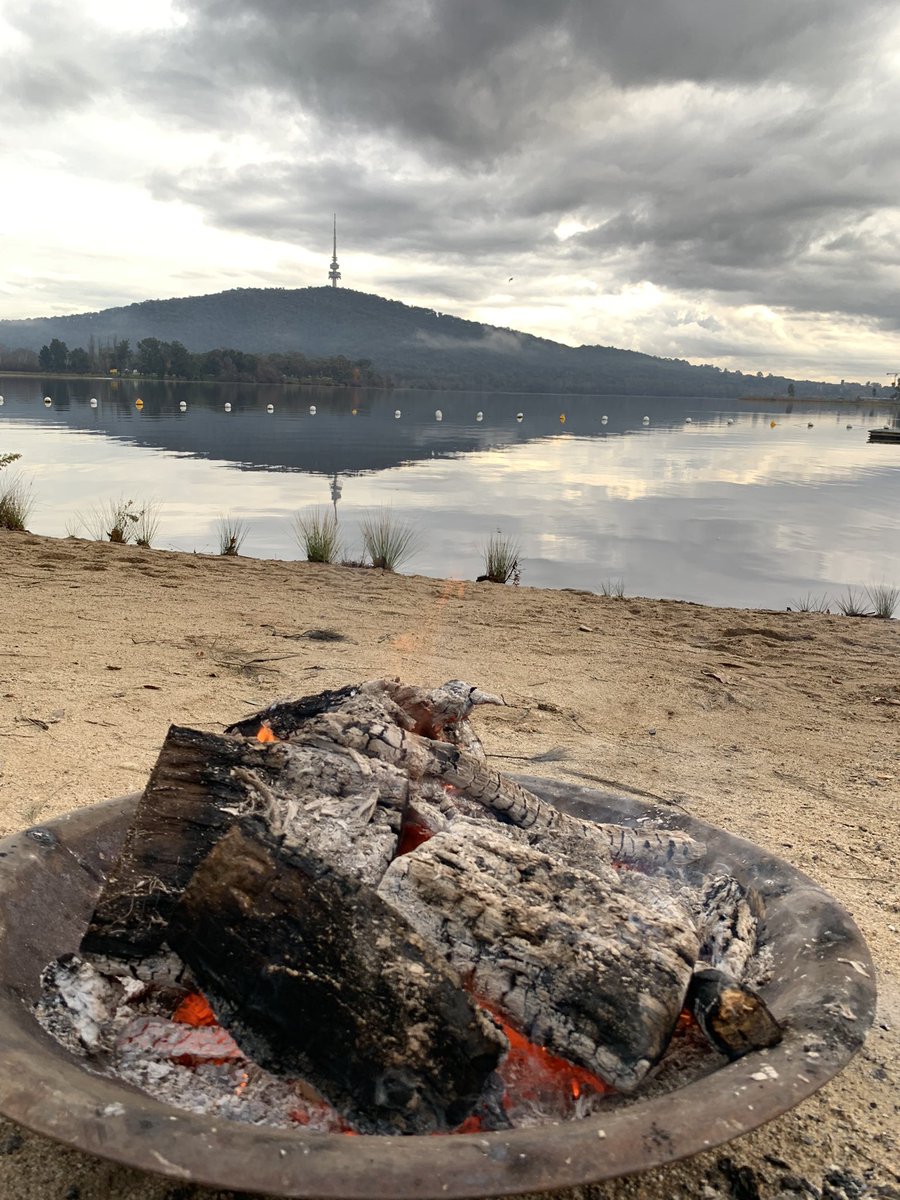 Lish Fejer tweet media