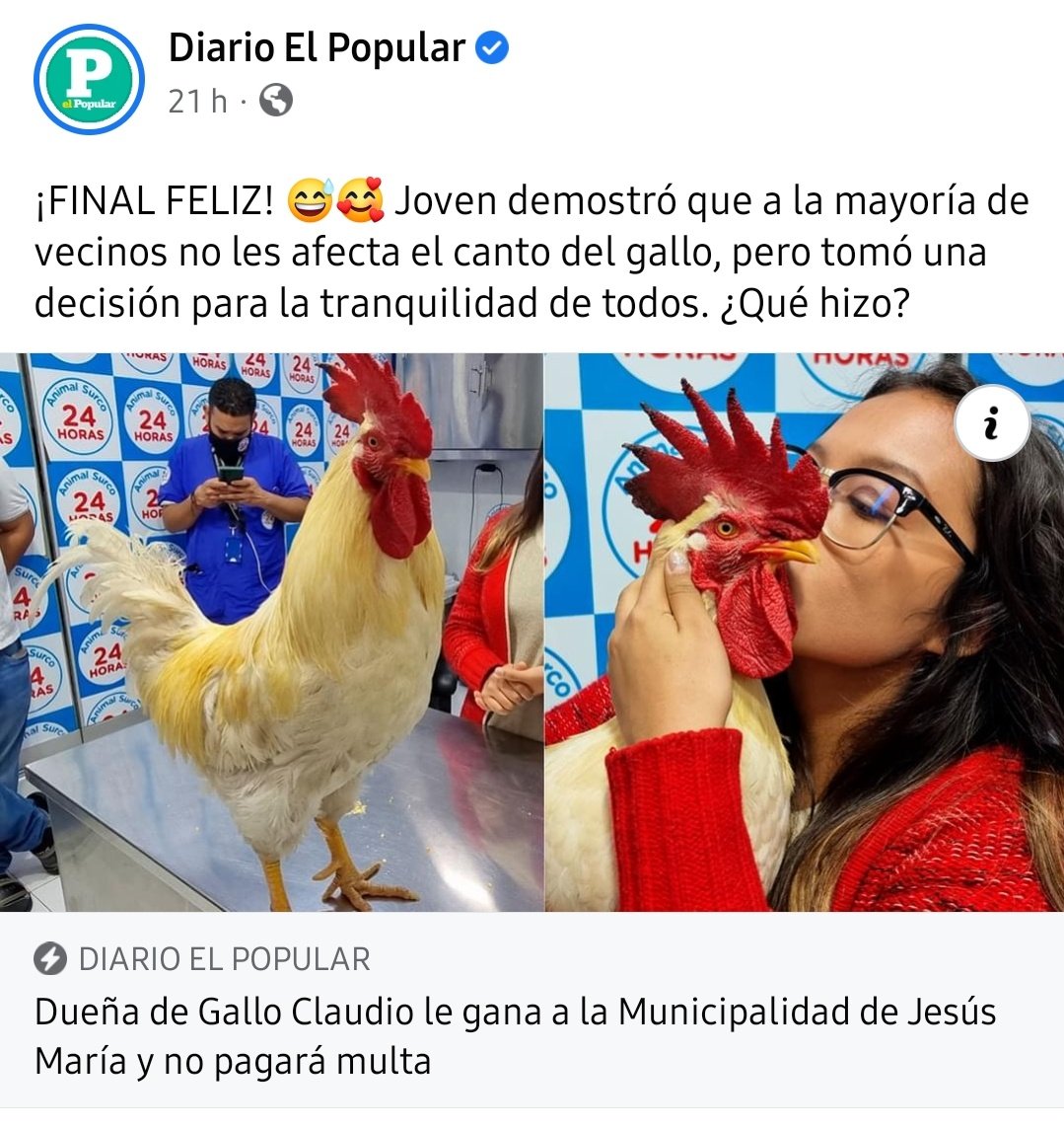 whatLlinidraws's tweet photo. Gano el gallo. https://t.co/0trd65whMN
