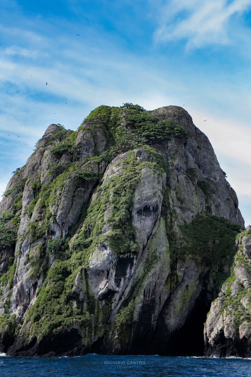Islote Manuelita en Isla del Coco. ¡Impresionante!

Hagan zoom a las fotografías 💀

📸 Dionisio Castro.