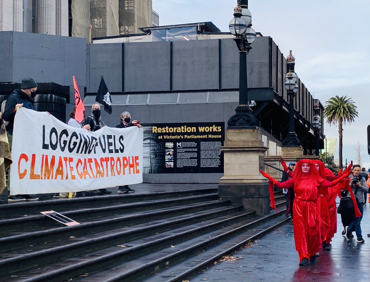 ninakillham's tweet image. We need to wake up, we need to wise up! #stopnativeforestlogging #now ⁦@DanielAndrewsMP⁩