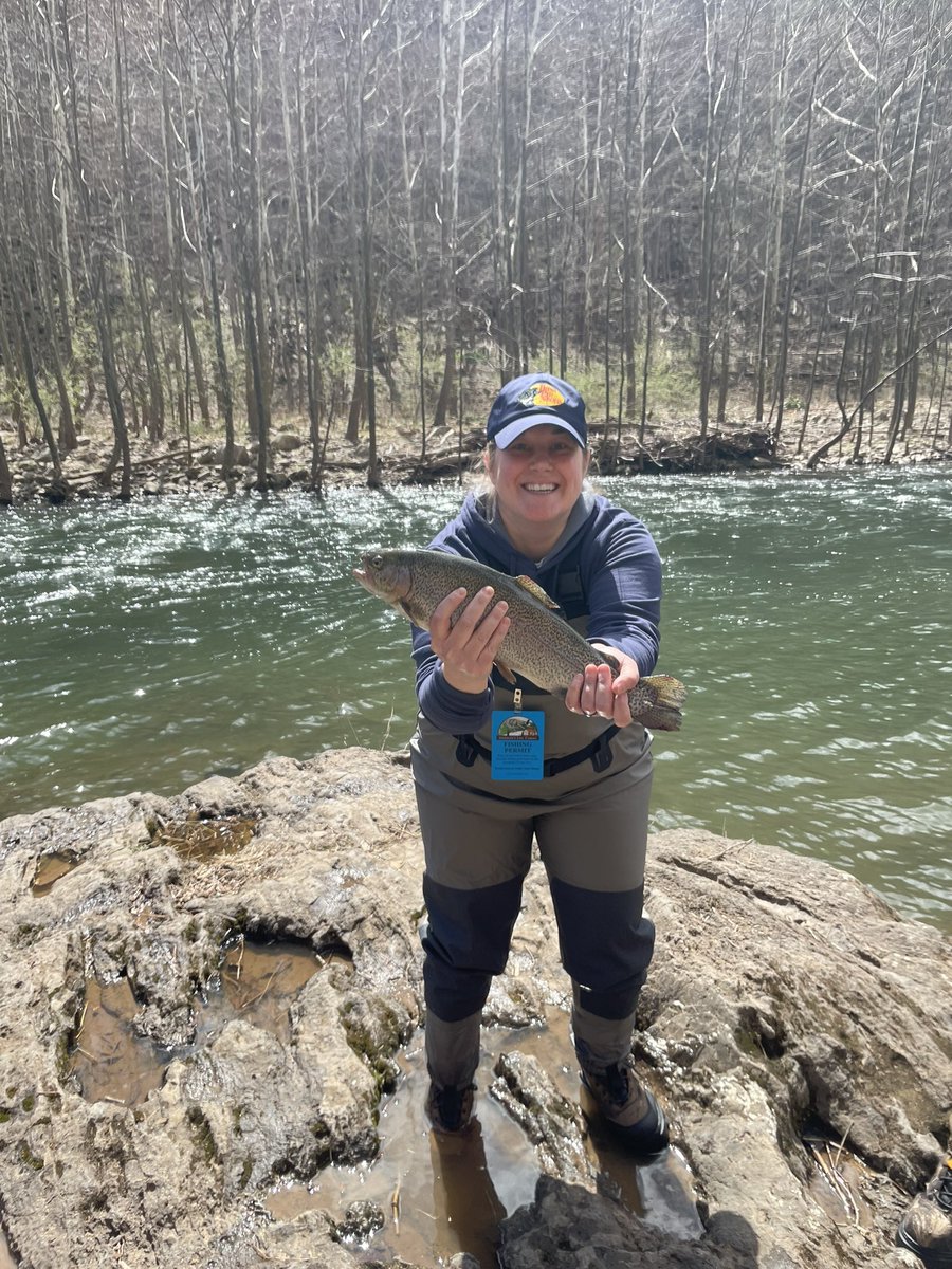 Lisa Costello tweet media