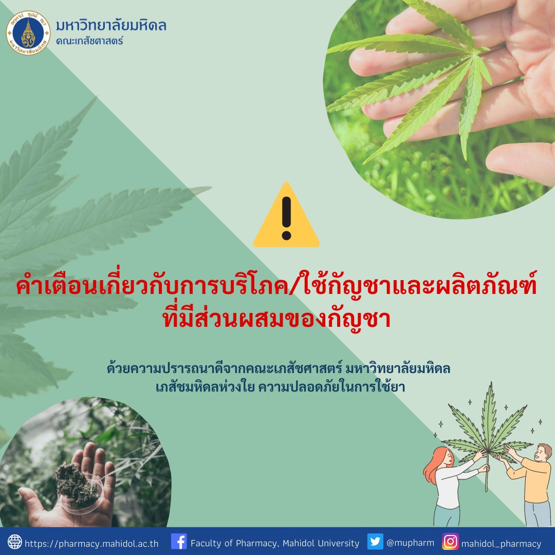 Pharmacy Mahidol U. tweet media