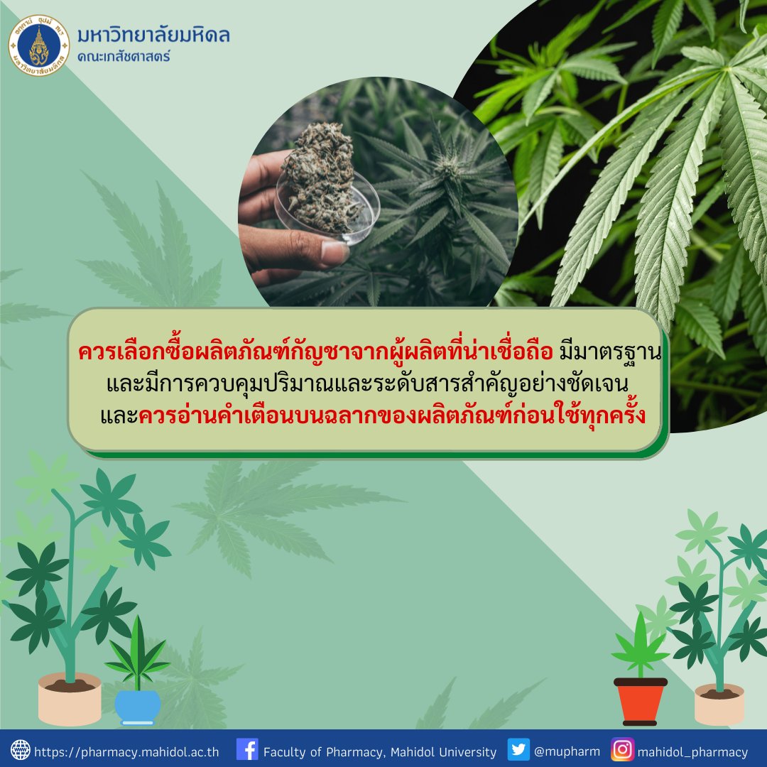 Pharmacy Mahidol U. tweet media
