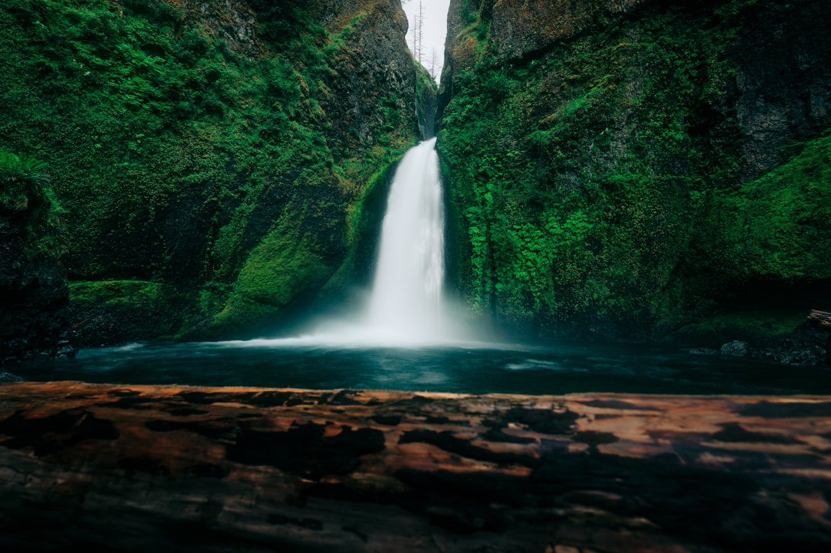 ArmandNour's tweet photo. Oregon things.
-
#NFT #NFTCommunity #nftart #NFTdrop #nftphotography https://t.co/07Zx1AFjh9