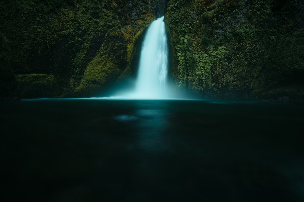 ArmandNour's tweet photo. Oregon things.
-
#NFT #NFTCommunity #nftart #NFTdrop #nftphotography https://t.co/07Zx1AFjh9