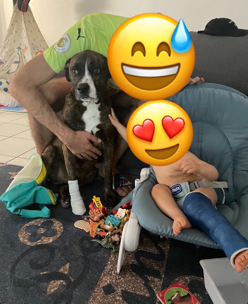 Tito tweet media