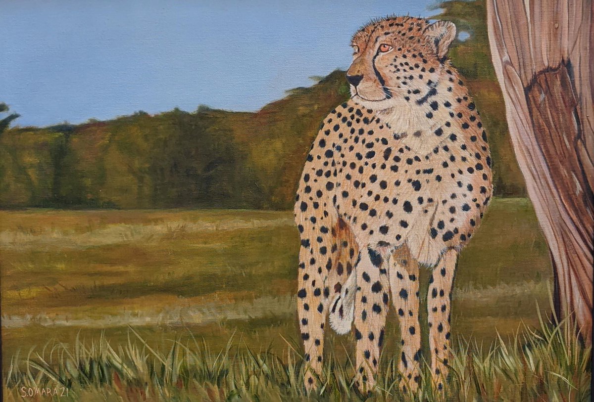 Another local artist taking part in our exhibition is Sue O’Mara.

Sue O'Mara is a wildlife and pet portrait artist living in Framfield. Sue loves the countryside and all its wildlife she is constantly inspired to paint the birds and animals she sees.. bridge-arts.org/artists/