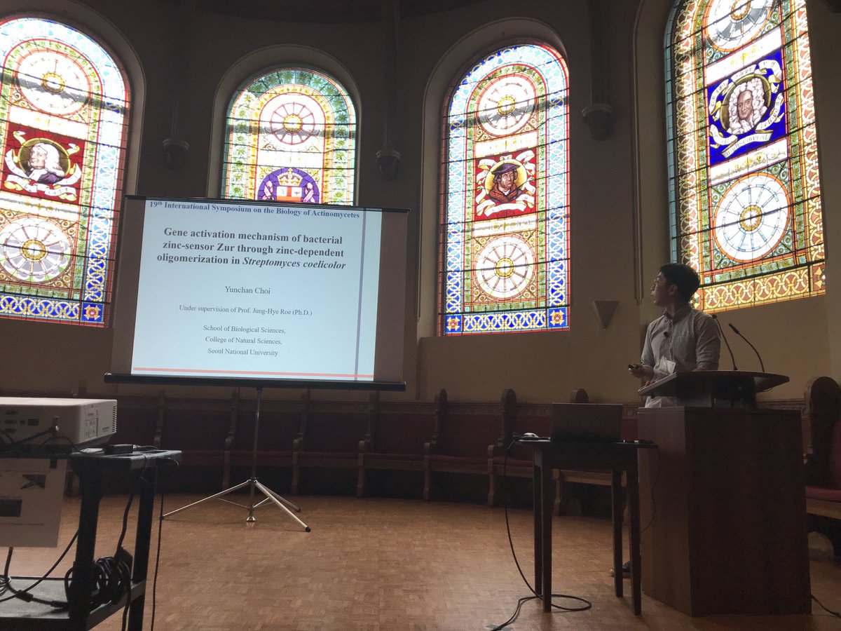 Lorena Fernández tweet media