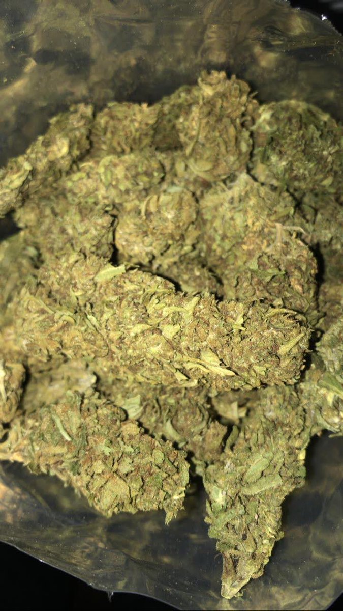 dollsmx420's tweet photo. Pinneaple express🍍 🍍
avaliable in stock
Entregas 100% seguras el mismo día
#WeedLovers #weedsmokers #weedcomunity #cmdx #420community #420friendly #420sw https://t.co/4MWD4RO1NB
