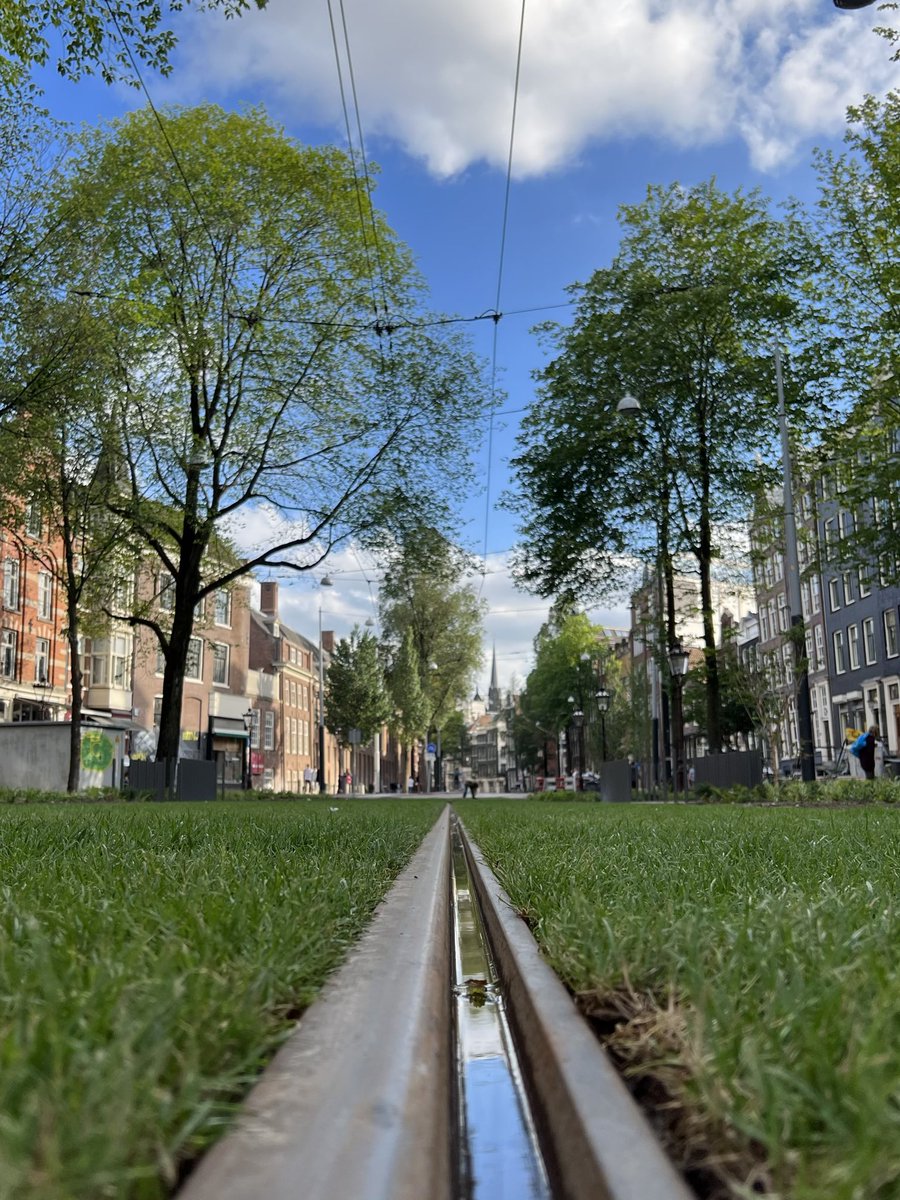 Qagggy's tweet photo. I am proud to be present at the birth of a brand new baby grassytram, freshly planted but not yet in operation. https://t.co/jVzi0VRvj1
