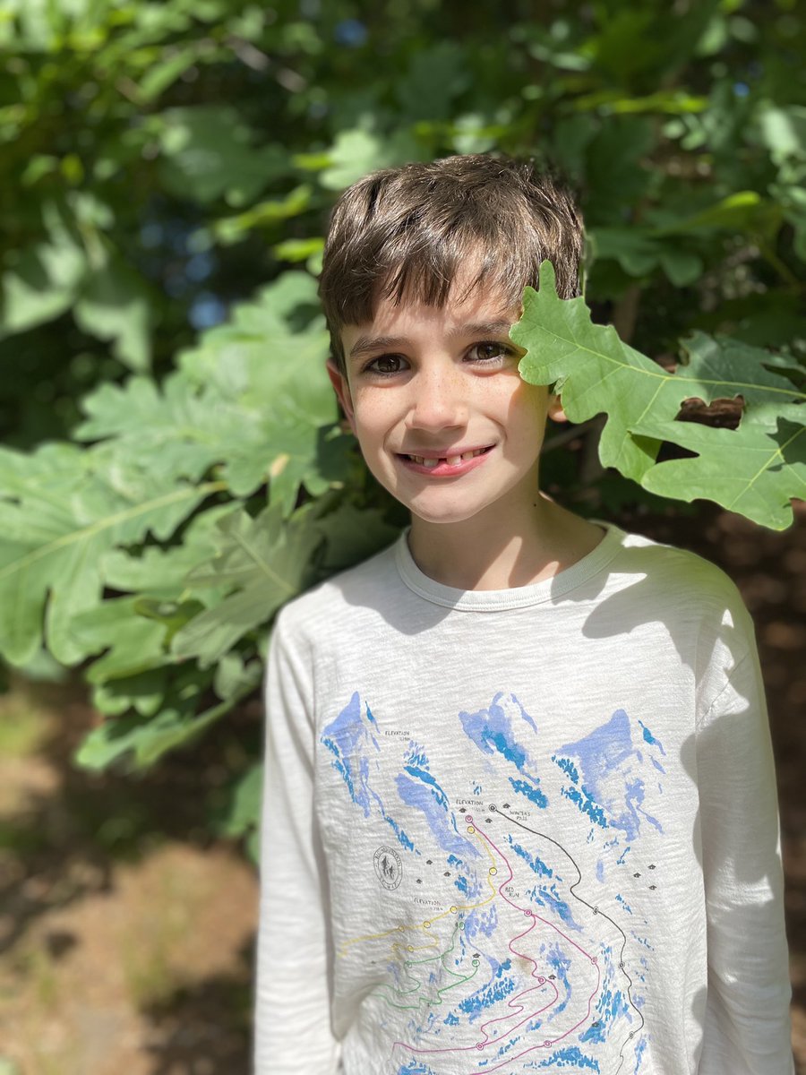 Kristin Bedard (@kristinbedard) on Twitter photo 