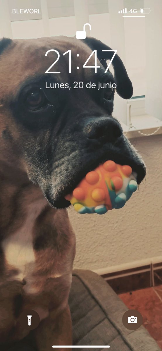 <a href="/Xenon9/">Xenon</a> 🐶