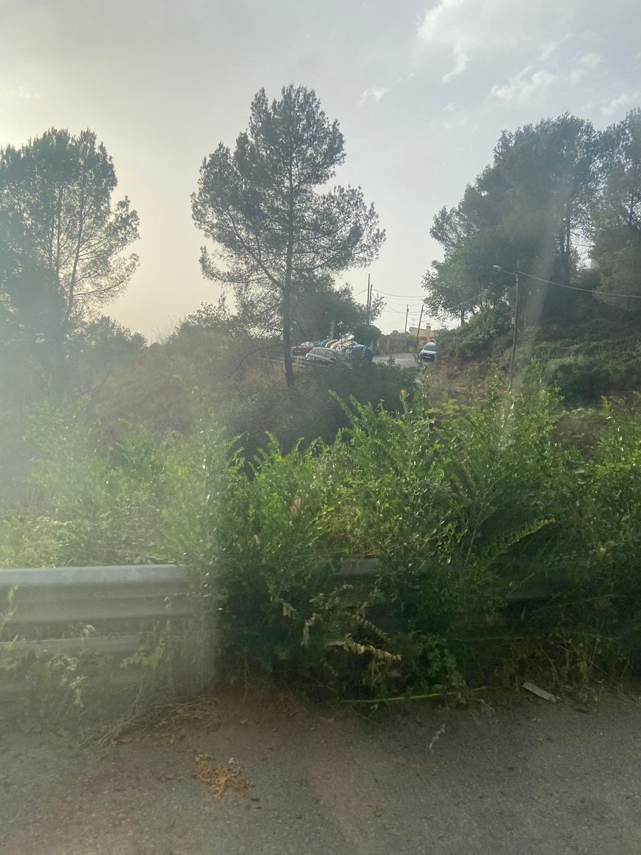 Super_Elvi's tweet photo. Parece que se invierte , pero NO en los barrios de montaña con más riesgo de incendio como #lesplanes @ajsantcugat @parcncollserola @mireiaingla @albagordo . Sabéis que tengo razón.  No sé están limpiando las zonas de montaña.  Aquí un ejemplo 👇🏻 https://t.co/7anPIBANC3
