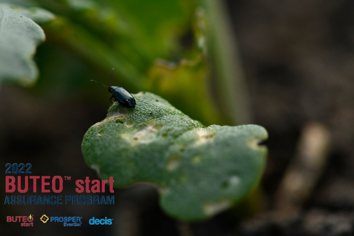 Crop Science Canada tweet media