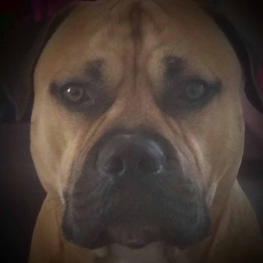 #NewProfilePic