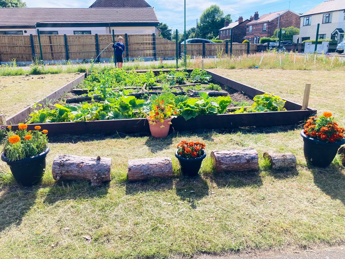 RedgateGardens1's tweet photo. 💛🌸🥬With the start of #summer tomorrow, it is lovely to see our #RedgateCommunityAllotment positively blooming!🌻A HUGE thank you to our @Redgate_Primary families who have kept it all watered over the last few weeks 💦🌞😍 @GardensHour #gardenshour #teamRedgate #school #garden https://t.co/3lCaibcKiH