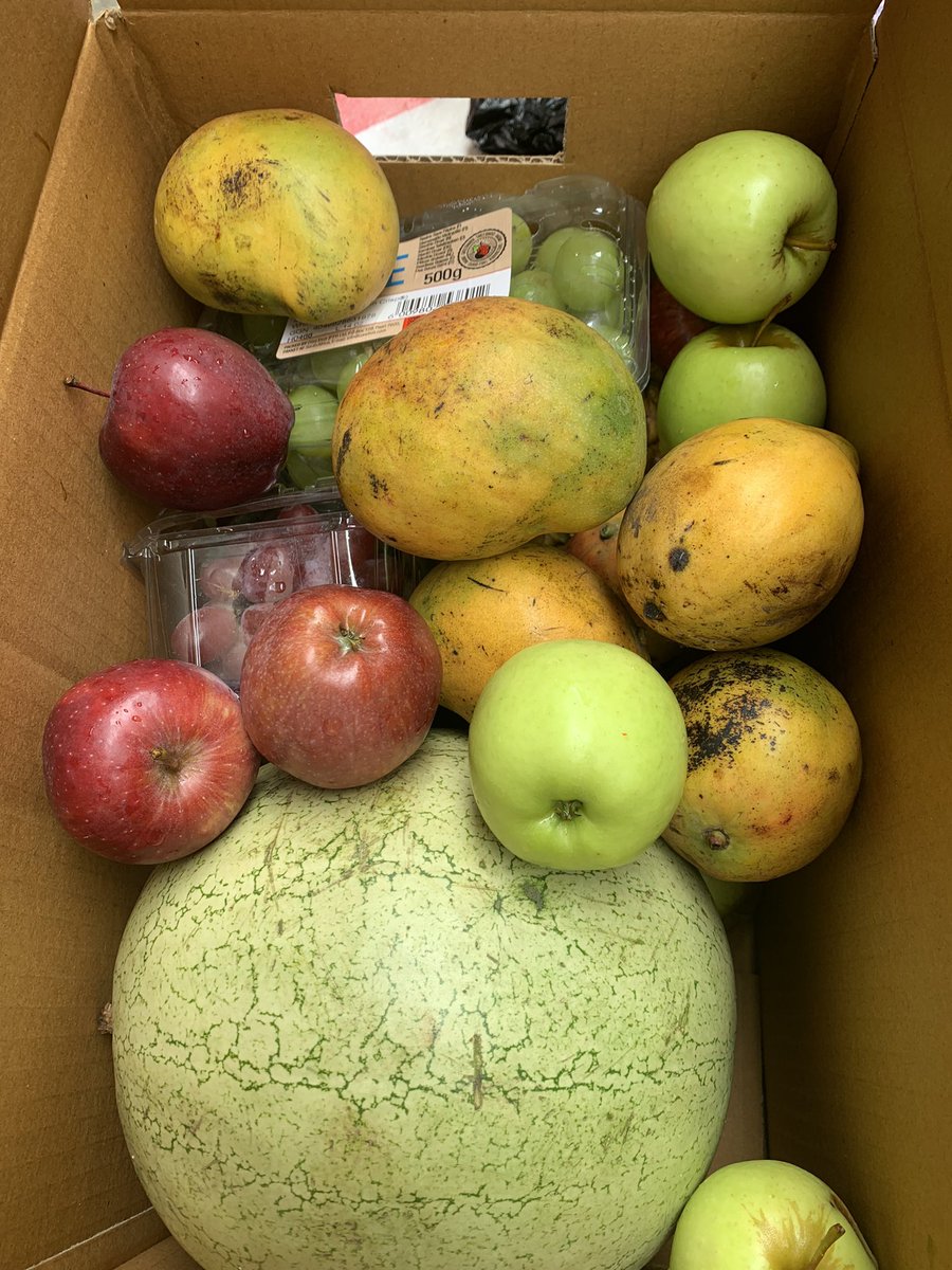 Chukulee_'s tweet photo. Mangoes are almost out!!!!
Are you eating fresh? Shop a wide variety of fresh fruits and vegetables, hygienically boxed and delivered to your doorstep anywhere in Lagos
@fruiteys #greengrocerinlagos #freshfruitswholsale #FreshFruits #FruitBox #FruitHamper #FruitGift https://t.co/2YYGKj0yUi