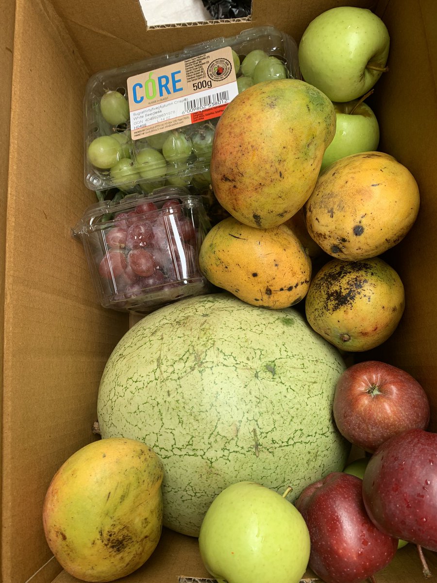 Chukulee_'s tweet photo. Mangoes are almost out!!!!
Are you eating fresh? Shop a wide variety of fresh fruits and vegetables, hygienically boxed and delivered to your doorstep anywhere in Lagos
@fruiteys #greengrocerinlagos #freshfruitswholsale #FreshFruits #FruitBox #FruitHamper #FruitGift https://t.co/2YYGKj0yUi