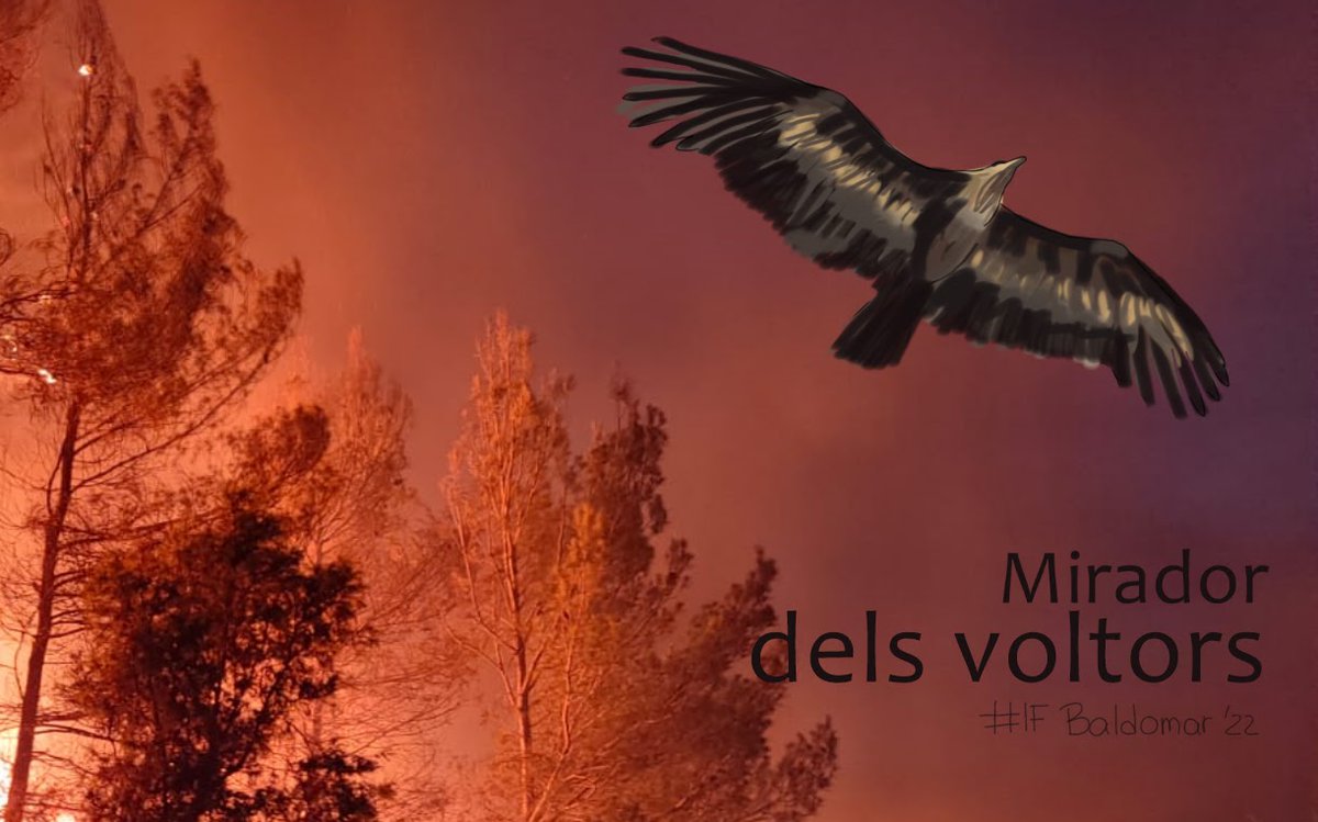 mec_mooc's tweet image. Mentre ha cremat #IFBaldomar, s'ha encès el record de qui ens hem creuat més d'una vegada per aquests camins #Clua #AlòsdeBalaguer #Miradordelsvoltors #Baldomar