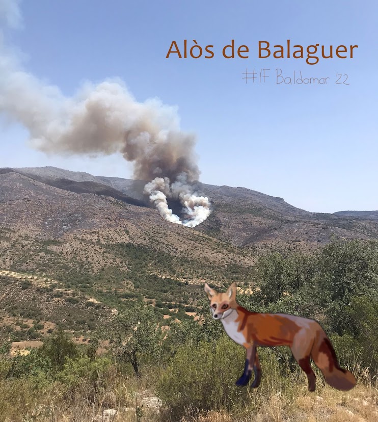 mec_mooc's tweet image. Mentre ha cremat #IFBaldomar, s'ha encès el record de qui ens hem creuat més d'una vegada per aquests camins #Clua #AlòsdeBalaguer #Miradordelsvoltors #Baldomar
