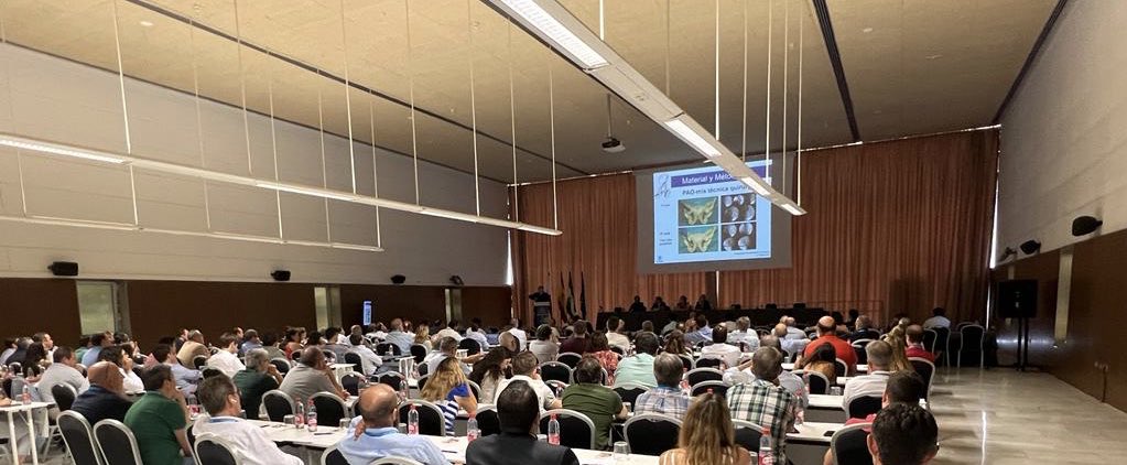 micadera_es's tweet photo. We’re thankful  to SECCA Congress scientific committee and happy to share our 20 years experience in Periacetabular osteotomy , tip and tricks . High prevalence of DDH, deserves pay attention and join more hip surgeons colleagues get involved in its surgical treatment. https://t.co/ojyEAhKULM