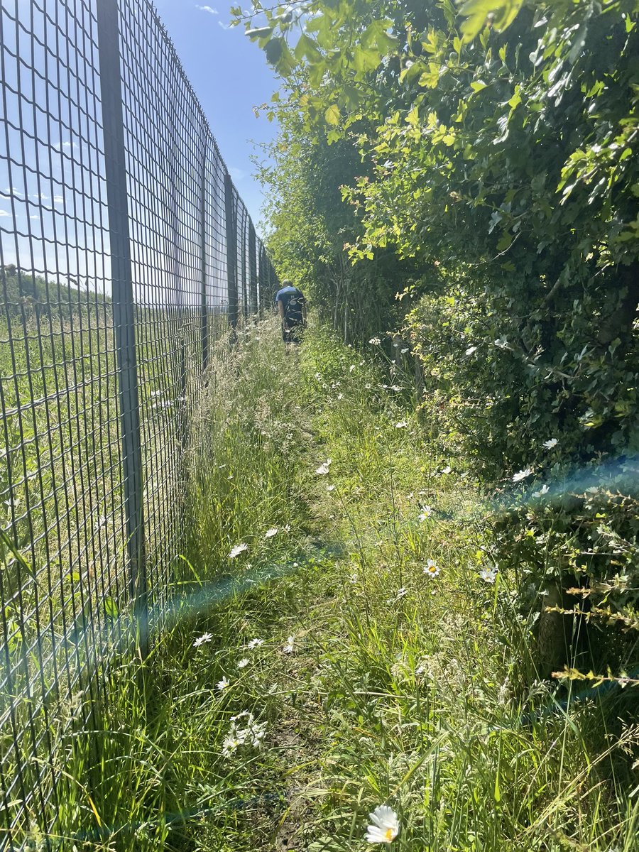 PeppiattC's tweet photo. Sunday run mid summer #northdowns #hayfeverhell #sundayrunday https://t.co/2hNOtFMagy