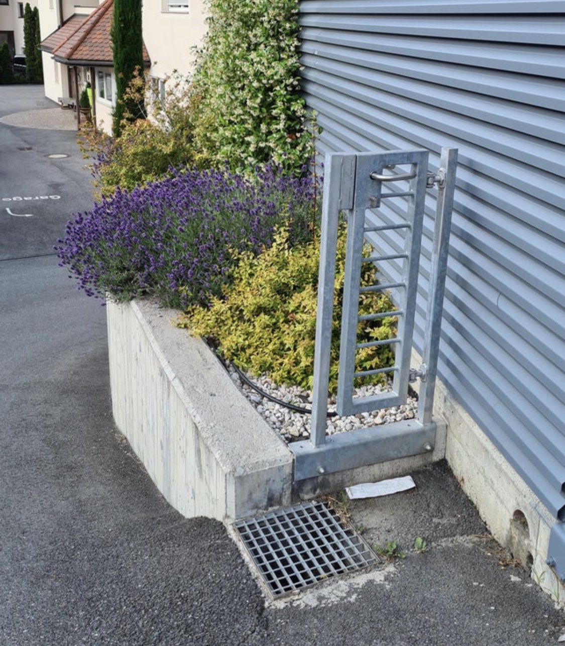 [Image: FVuP_RAWAAIkbKk?format=jpg&name=large]