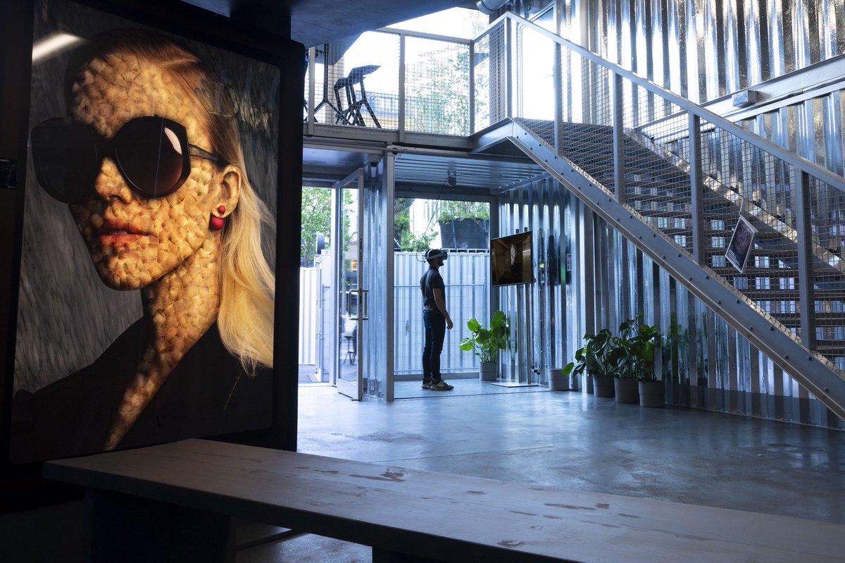 Vermibus tweet media